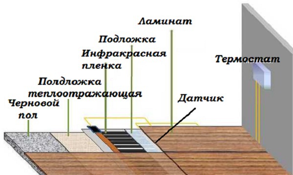 1499684460449.jpg